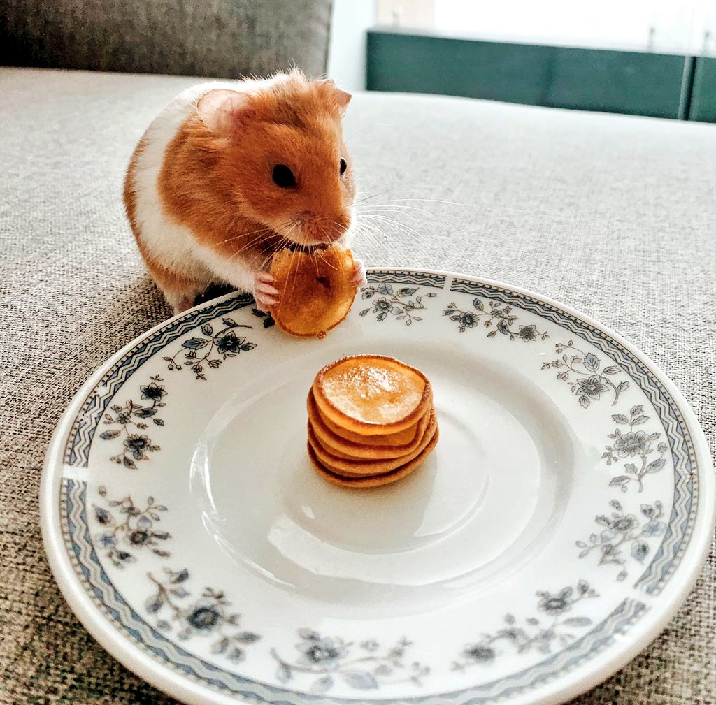 incondic_peru's tweet photo. Yo cuando voy a la cocina por agua y me topo con algo rico, de está #cuarentenadia saldré rodando🤣🤣🤣🤣🤣🐭 https://t.co/mLiFrU89V1