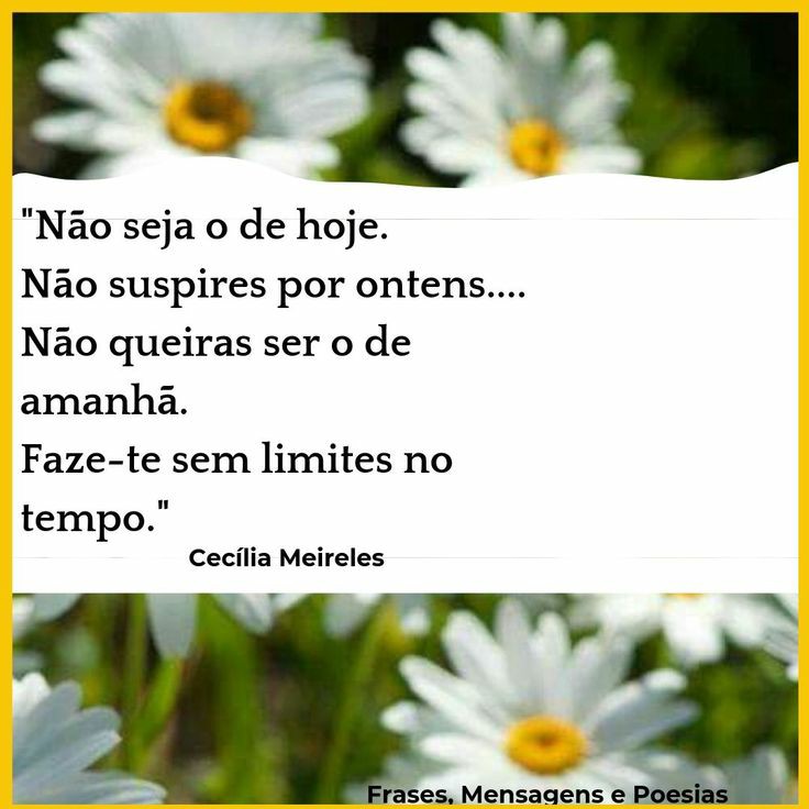 JillOMach's tweet photo. Bom Dia 🌞☕✒📚
#bomdia #cafecomlivro #ceciliameireles #leitura #leiasempre #LerDoceLer #inspiration CRE #orgulhodeserescritora #amolivros #amoler #amoescrever #apoioaoescritornacional #euapoioaliteraturanacional #literaturanacional #mulheresescritoras #escritoras https://t.co/cb2auwKjit