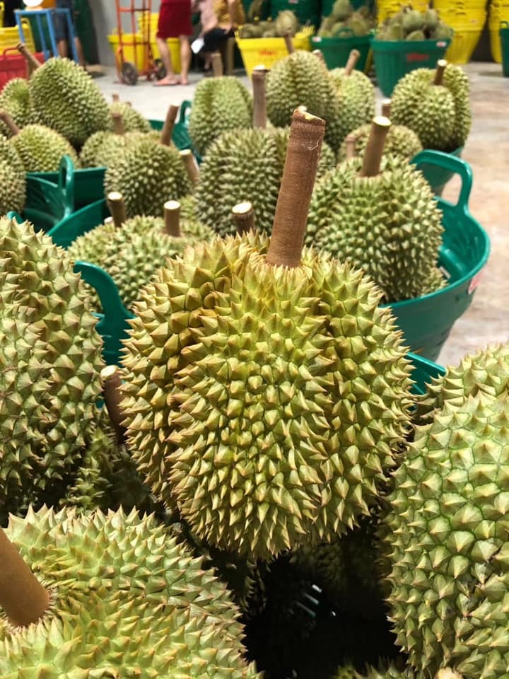 CrescoFoods's tweet photo. ur premium grade Durian from Thailand is available to be exported.

Contact us #Crescofoods today for a quotation.

#worldwideshipping #shippingworldwide #durian #freshproduce #freshproducesupplier #fruitsimportexport #crescoproduce #premiumgrade #foodtrading #Bangkok #Thailand https://t.co/ETA0JiYP5K