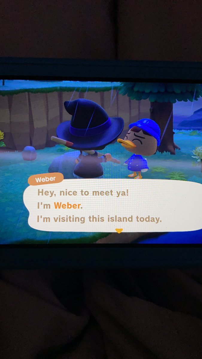 second is this cute duck named Weber! I thought it was Bill for a sec but I was wrong, they seem cute tho!! but I must move on