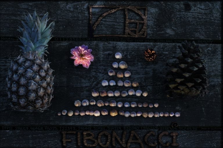 Fibbonacci Numbers : The Fibonacci numbers and their sequence first appear in Indian mathematics as mātrāmeru, mentioned by Pingala in connection with the Sanskrit tradition of prosody. Later on, the methods for the formation of these numbers were given by mathematicians