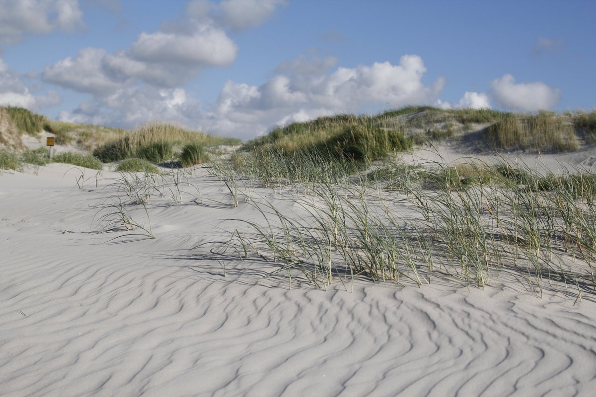 TiggerMS's tweet photo. Jau, da wäre ich jetzt auch gerne mal wieder. Zeit für Urlaub an der Nordsee. Und dann bitte auch so alleine.
#stpeterording #nordsee #sonne #strand #und #mehrmeer https://t.co/pv8s5BSLk9