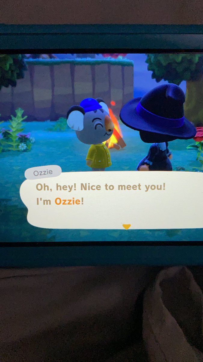 Awww found Ozzie! A real sweetie but im not too fond of the koalas, sorry!! also he’s a lazy villager and I’ve already made up my mind that Bones is gonna be my lazy villager :”) I miss him so much