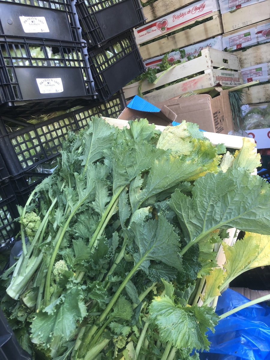 WasteNotProject's tweet photo. Today’s gleaning thanks to all our supporters in @MarketFood great day ahead : #lovefoodhatewaste #battersea #winstanley #patmore #doddingtonandrollo #volunteering #activeCitizenship https://t.co/DAMkfQ0kaW