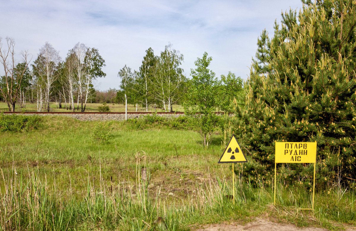 I per anar tancant el fil, un detall sorprenent que ens arriba de Chernobyl. El ratpenat d’aigua és una de les espècies menys afectades pels residus radioactius perquè és l’única espècie que s’alimenta exclusivament de les basses “netes” o menys radioactives.