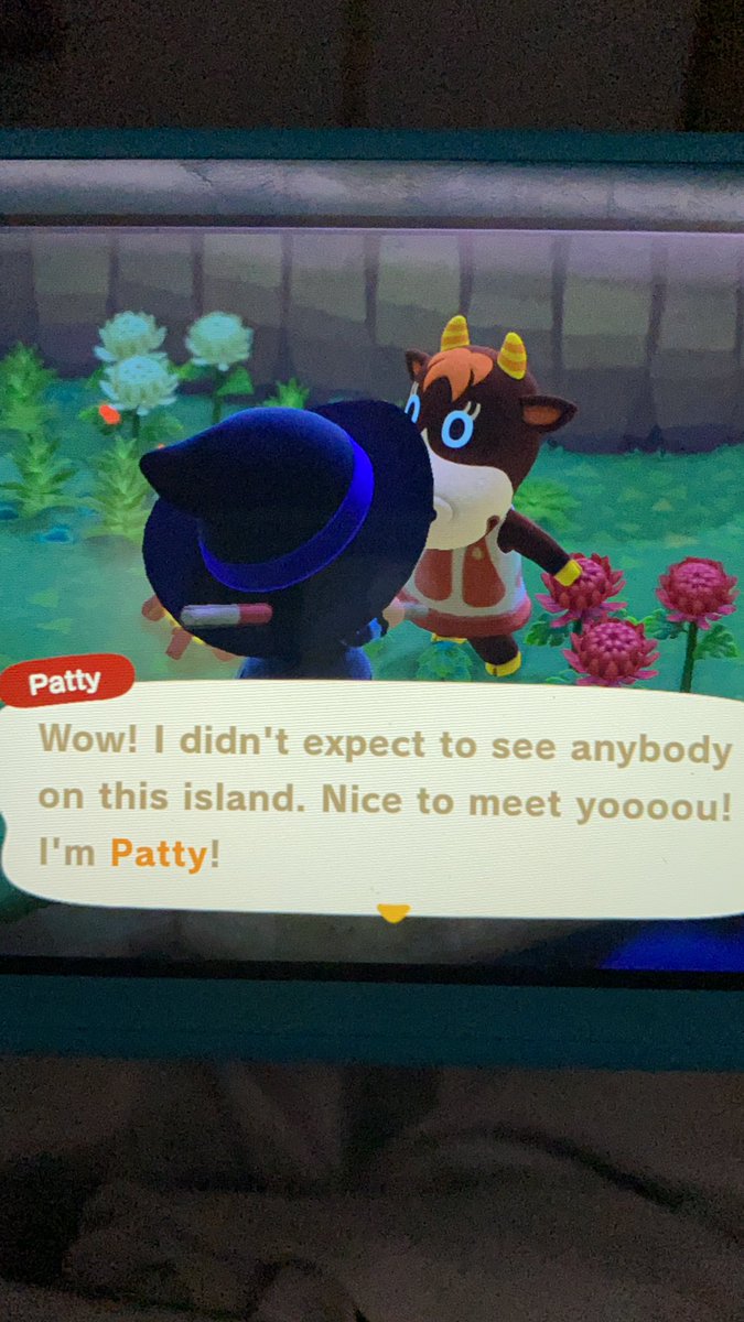 Nope. I bet she’s a sweetheart but I don’t really likes the cows, expect Naomi cause she was in my new leaf town