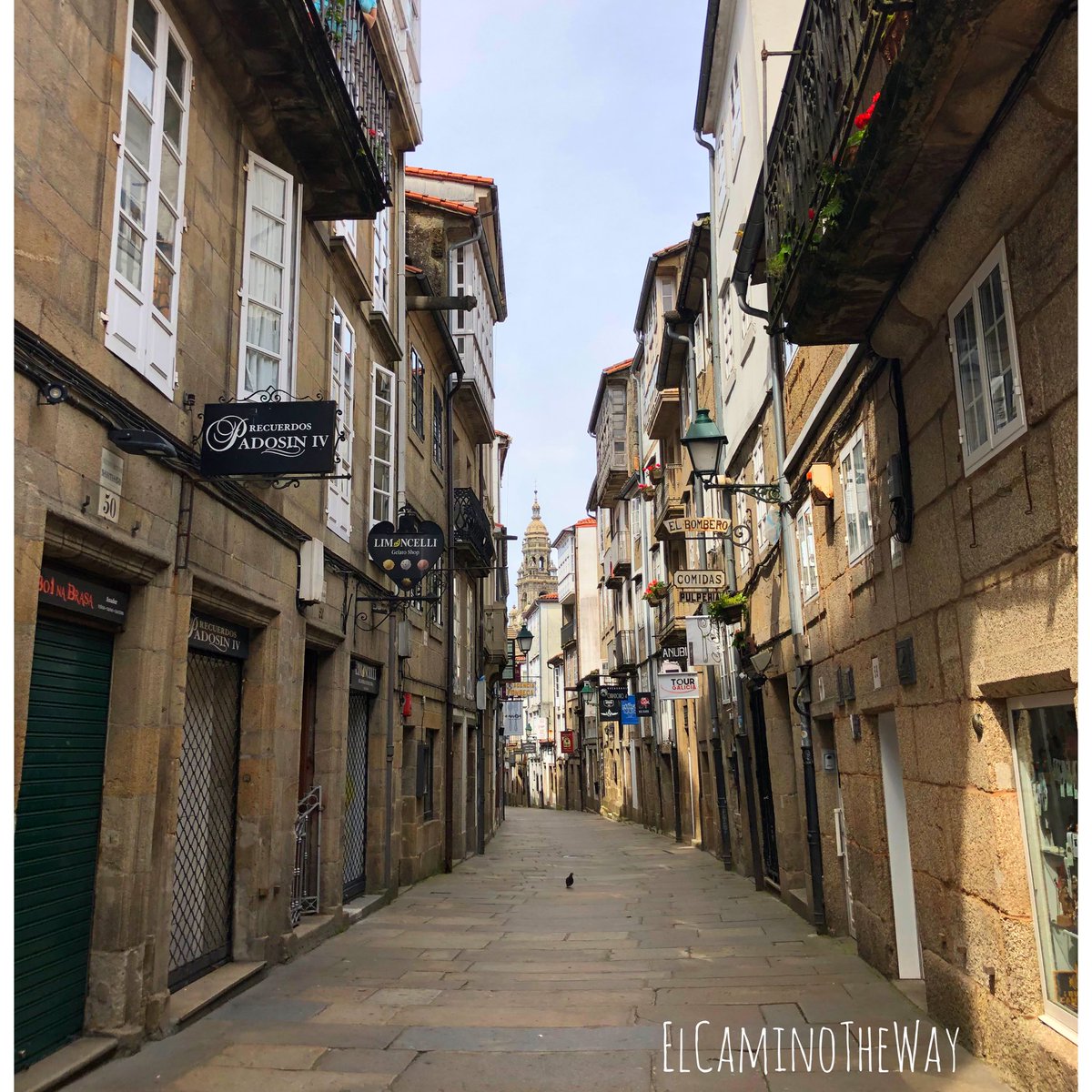 elcaminotheway's tweet photo. Ánimo Esperamos que pronto vengáis a llenar el lugar 😉
Cheer up. We hope you come to fill the place soon
#santiagodecompostela #ruadofranco #caminodesantiago #seeyousoon #nosvemospronto #caminho #peregrinos #peregrine #peregrinas #pilgrims #pilgers #pelerin #chemindecompostelle https://t.co/TzHfjISviW