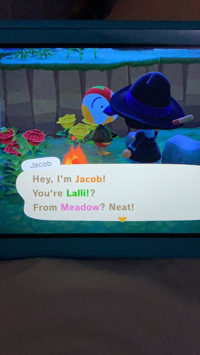 Jacob! My favorite bird is twiggy but,,he’s real cute  I love his eyes and eyebrows lmao hm....tempted