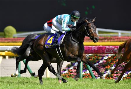 馬 Le Cheval♘♞ tweet media