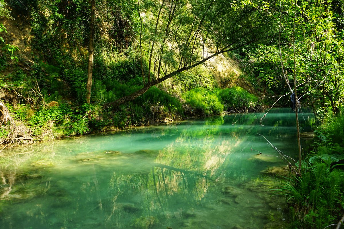 Buongiorno!
Domenica siamo andati a Colle Val d'Elsa 🇮🇹 e abbiamo scoperto un parco fluviale meraviglioso: il percorso che affianca il fiume si chiama #SentierElsa e dal 3 giugno sarà di nuovo possibile fare il bagno e il picnic!

#ripartodallitalia #Toscana