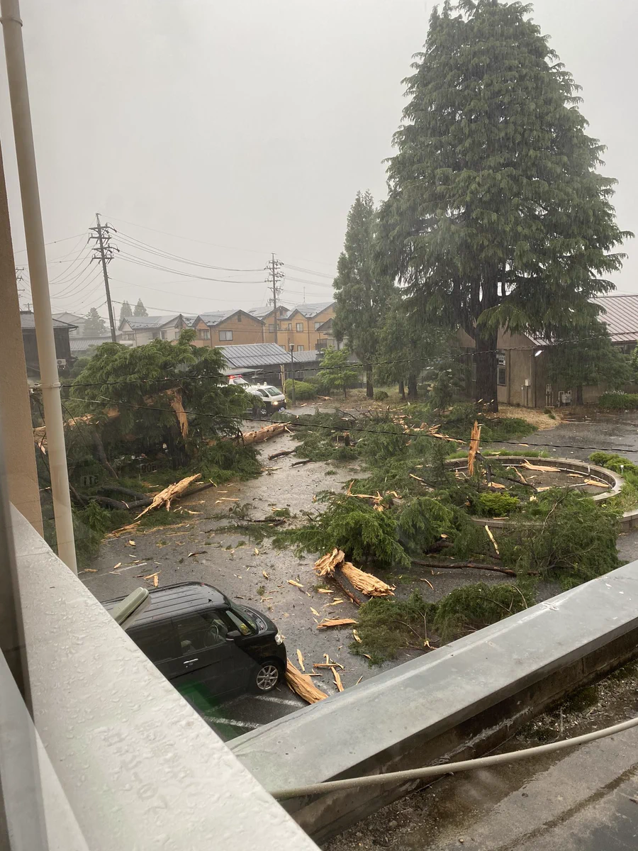 学校敷地内にカミナリが！カミナリの怖さが変わる画像！