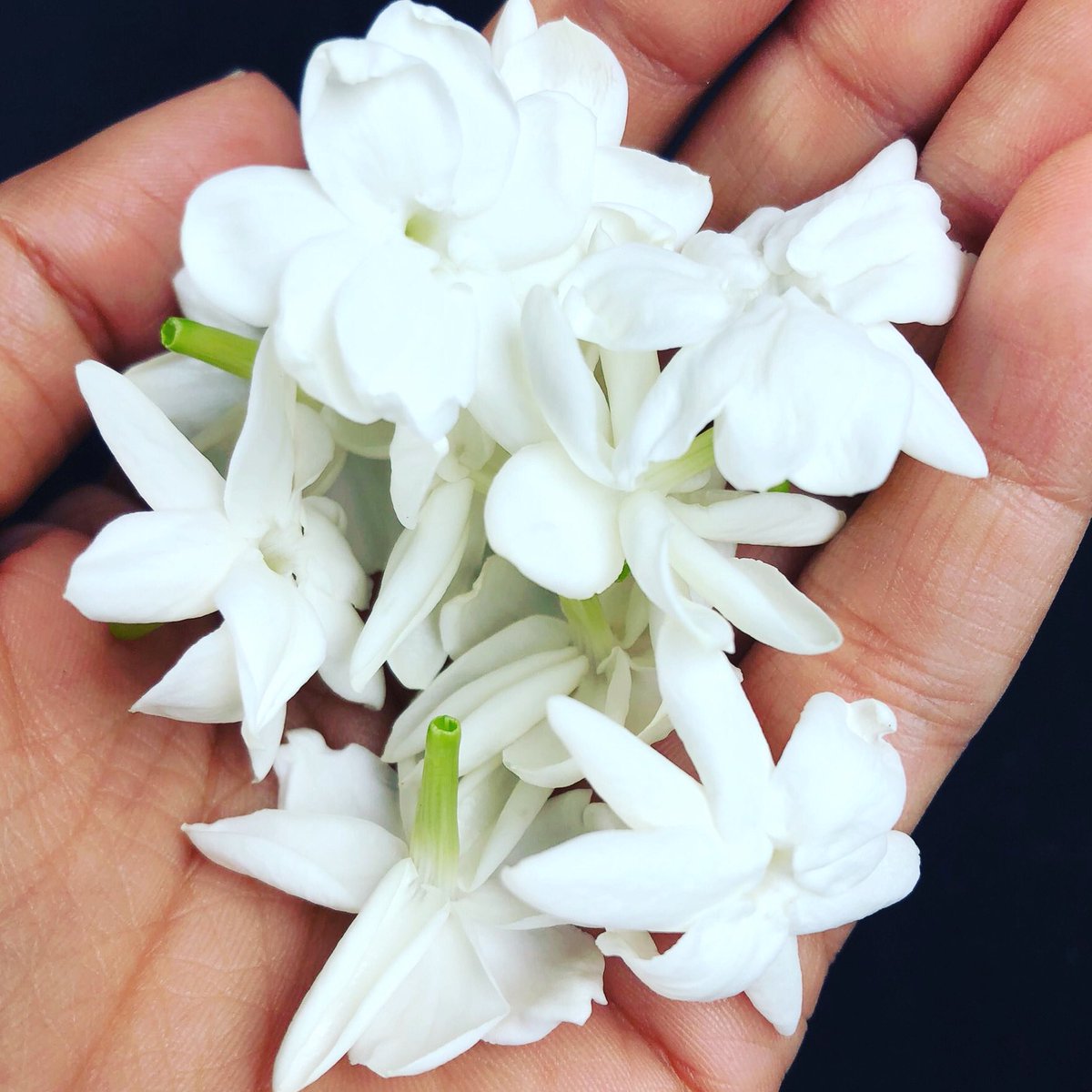 St_Marylebone_'s tweet photo. #EyesOpenInEaster The wise writer of Ecclesiastes tells us in ch 4 v 6 that it’s better to have one handful with tranquillity than two handfuls with toil and chasing after the wind. I wonder what that means for us in the 21st century?
#faithathome @dioceseoflondon https://t.co/yIBR8oJkGI