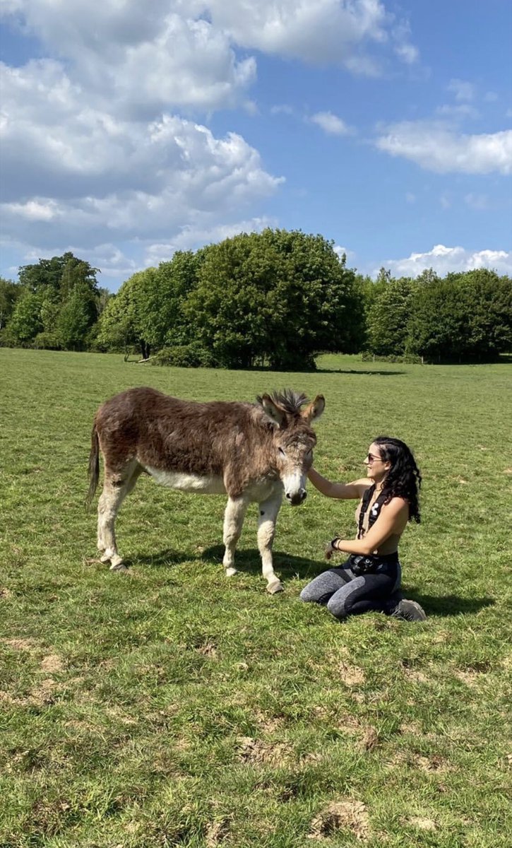 Can’t see my human friends, so making donkey friends instead 😂🙌💚 #rescuedonkey #animalfriends