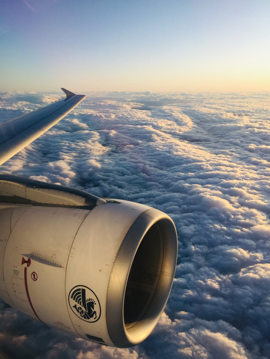 Pégase le cheval ailé est de retour au départ de Lyon Saint-Exupéry! 3 destinations à partir du 8 juin (Bordeaux, Nantes, Toulouse)! #AirFrance 💙⚪️❤️✈️  #auvergnerhonealpes #AvGeek #Lyon