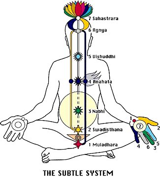 the pit of your throat. This particular chakra is very strongly associated with the snake. Now we all know that lord shiva had drunk all the poison during the the samundra manthan. According to story, parvati tied vashuki (the snake) on shiva’s neck to control the vishuddhi