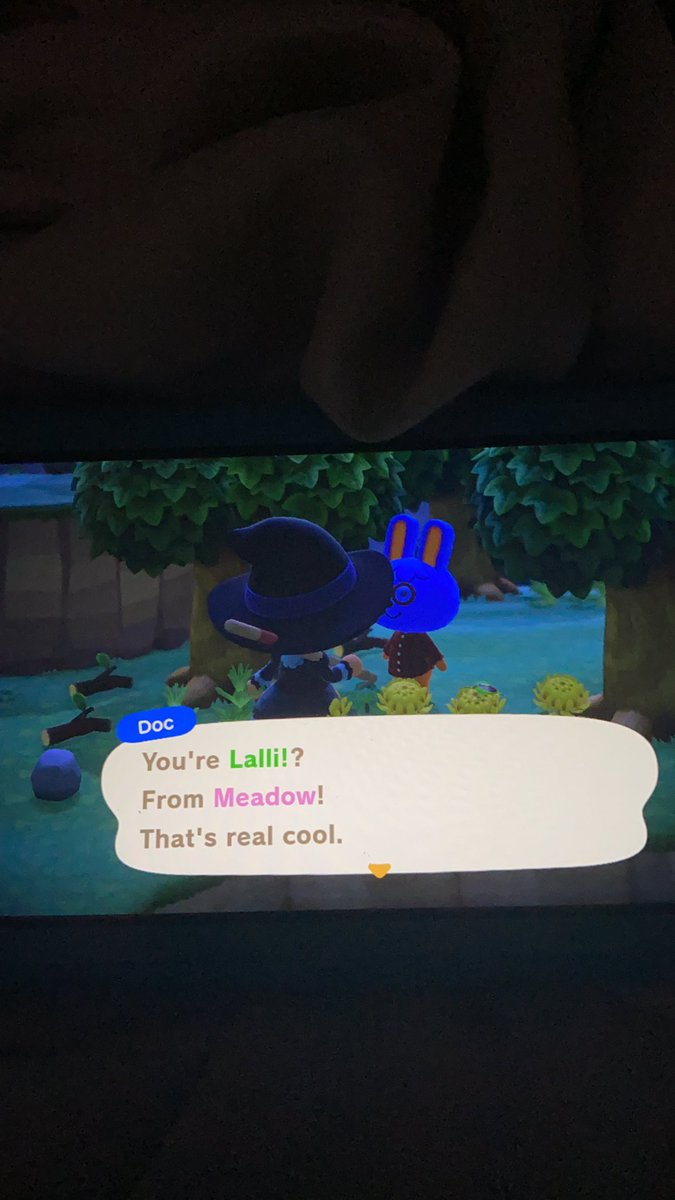 Oooh first bunny villager I’ve come across! but unfortunately, he’s not what I’m looking for