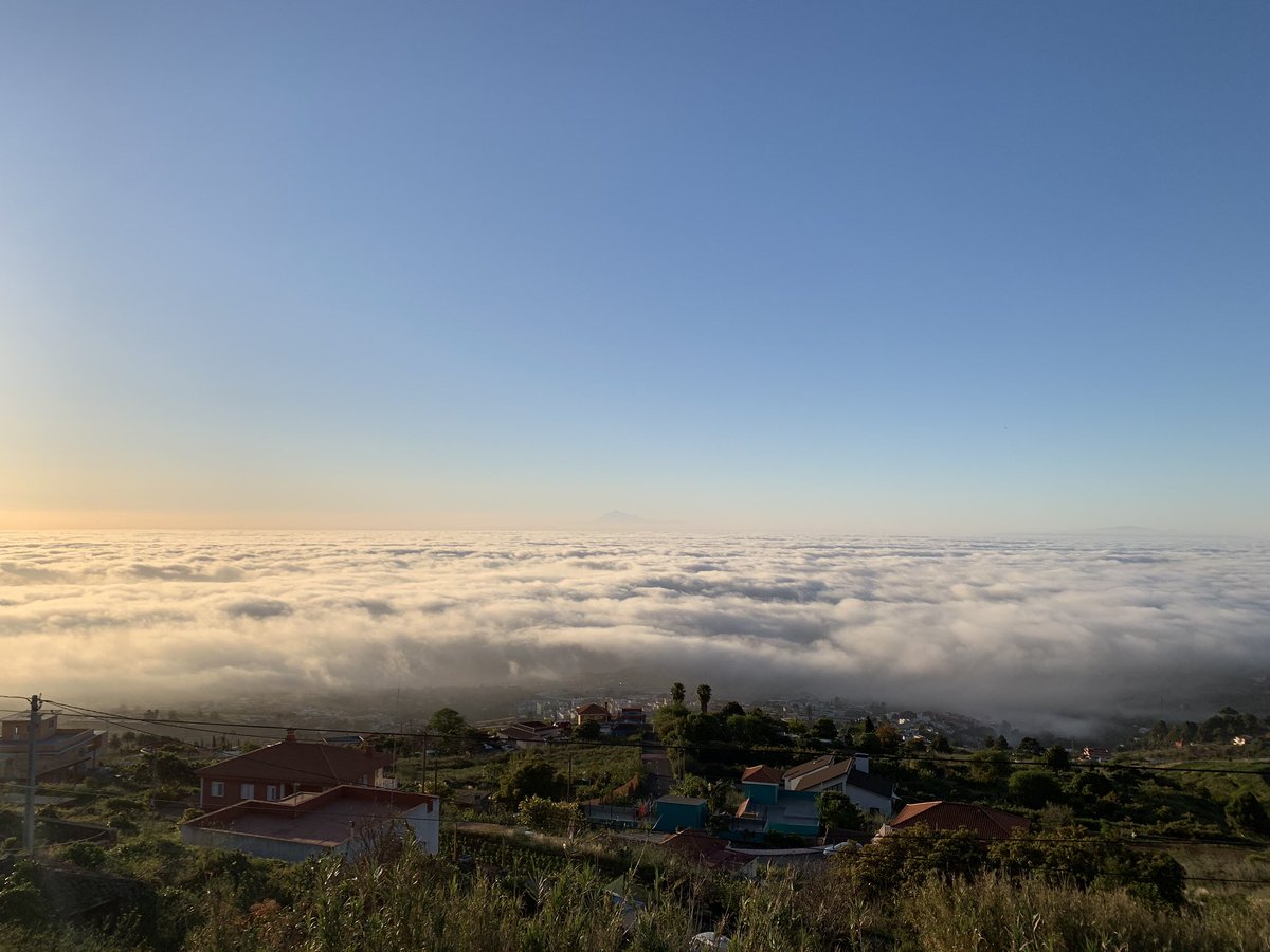 Fotonature La Palma tweet media