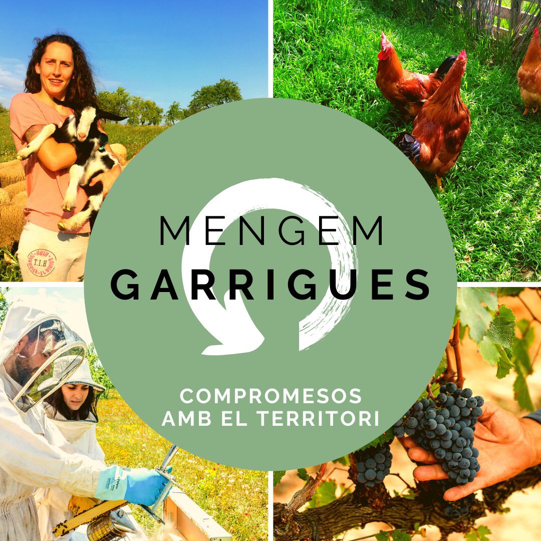 MengemPonent's tweet photo. El tros, aquí és on comença tot. Petits productors, pagesos, grangers, pastors i cuidadors del territori.
El procés acaba amb bons aliments a casa teva. 
Vols conèixer @MengemGarrigues ⁉️
⏳Comença el compte enrere, falten 6️⃣ dies https://t.co/Tege19NxNb