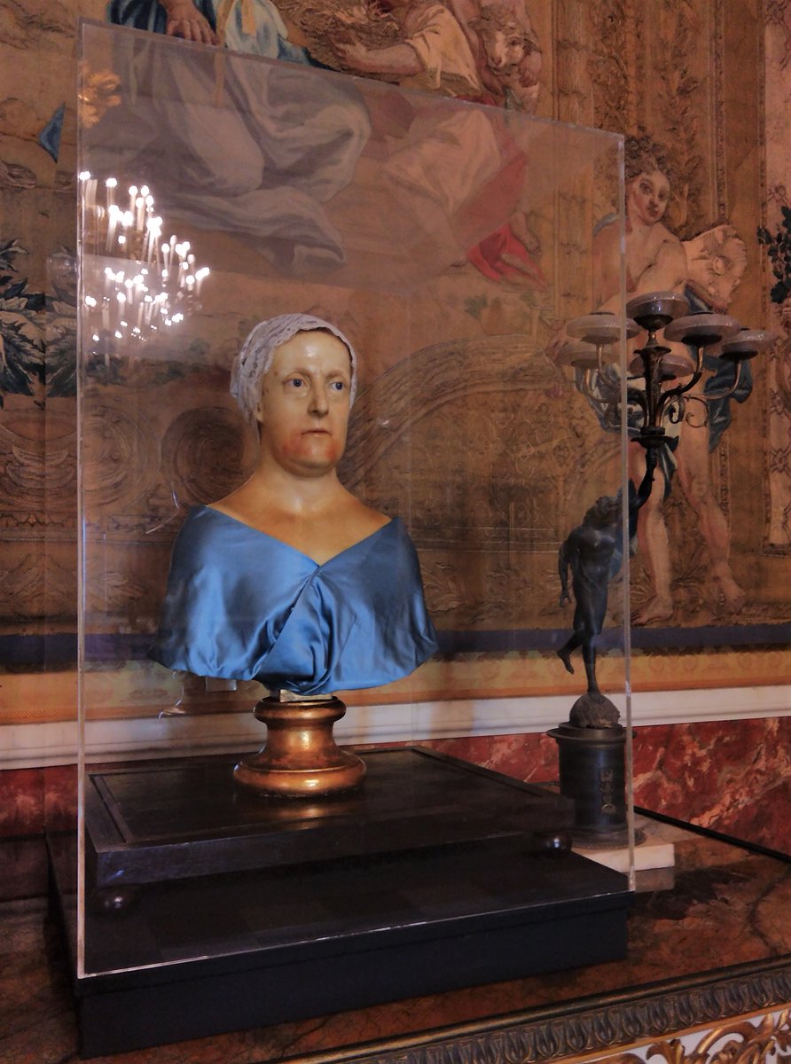 Stefano Gei tweet media