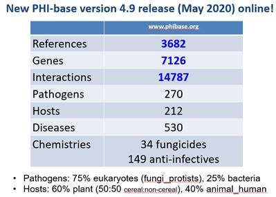 Our PHI-base version 4.9 (May 2020 release) is out! An additional 346 genes described in 228 papers were curated. New database downloads in FASTA/CSV are available.