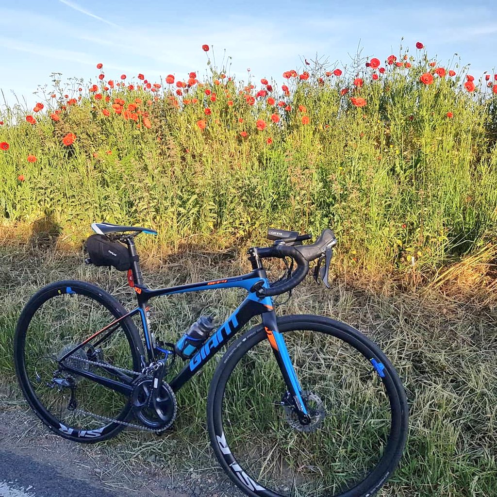 AndyStephens31's tweet image. Cycle to work this morning in the sunshine 
#cycletowork #sunrise #giantbikes