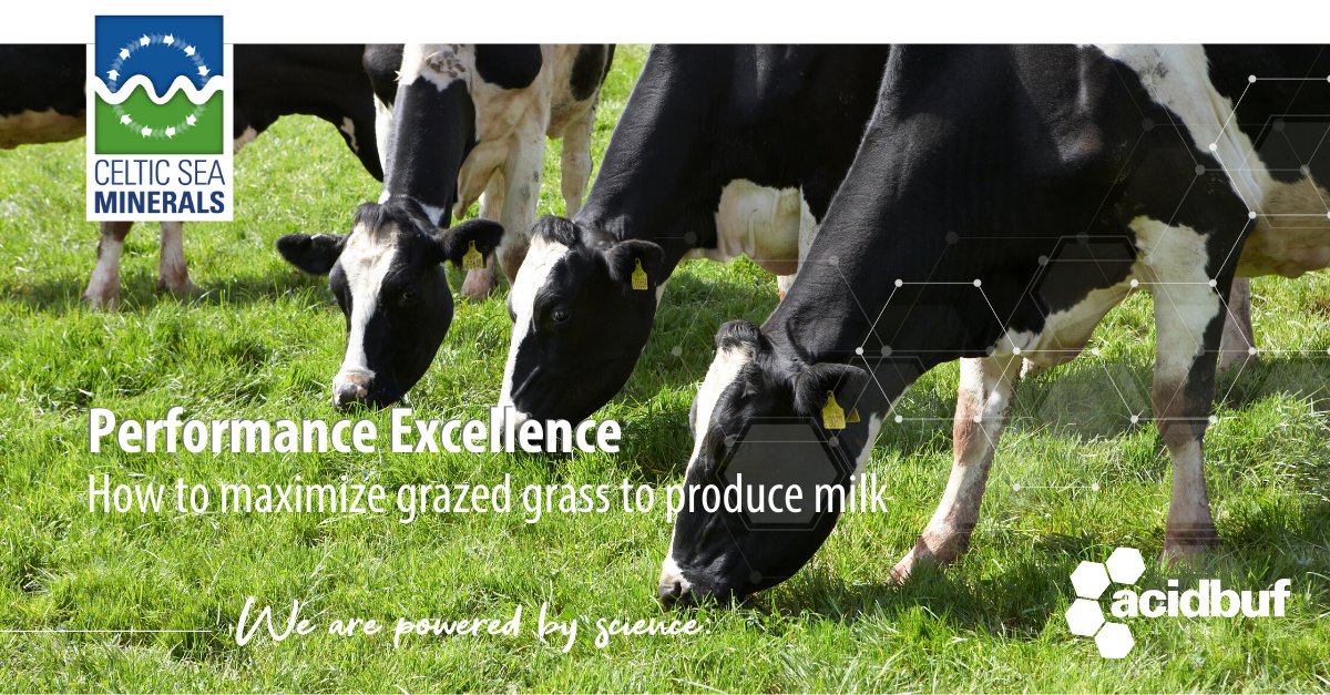 👩‍🌾 How to maximize grazed #grass to produce #milk? 🥛
📰 Check the article published by <a href="/thatsfarming/">thatsfarming.com</a> and learn why a #rumenbuffer is needed in #Spring time!
 
➡️ow.ly/a07f50zPU1S
➡️celticseaminerals.com

#teamdairy #acidbuf #farming #marineminerals