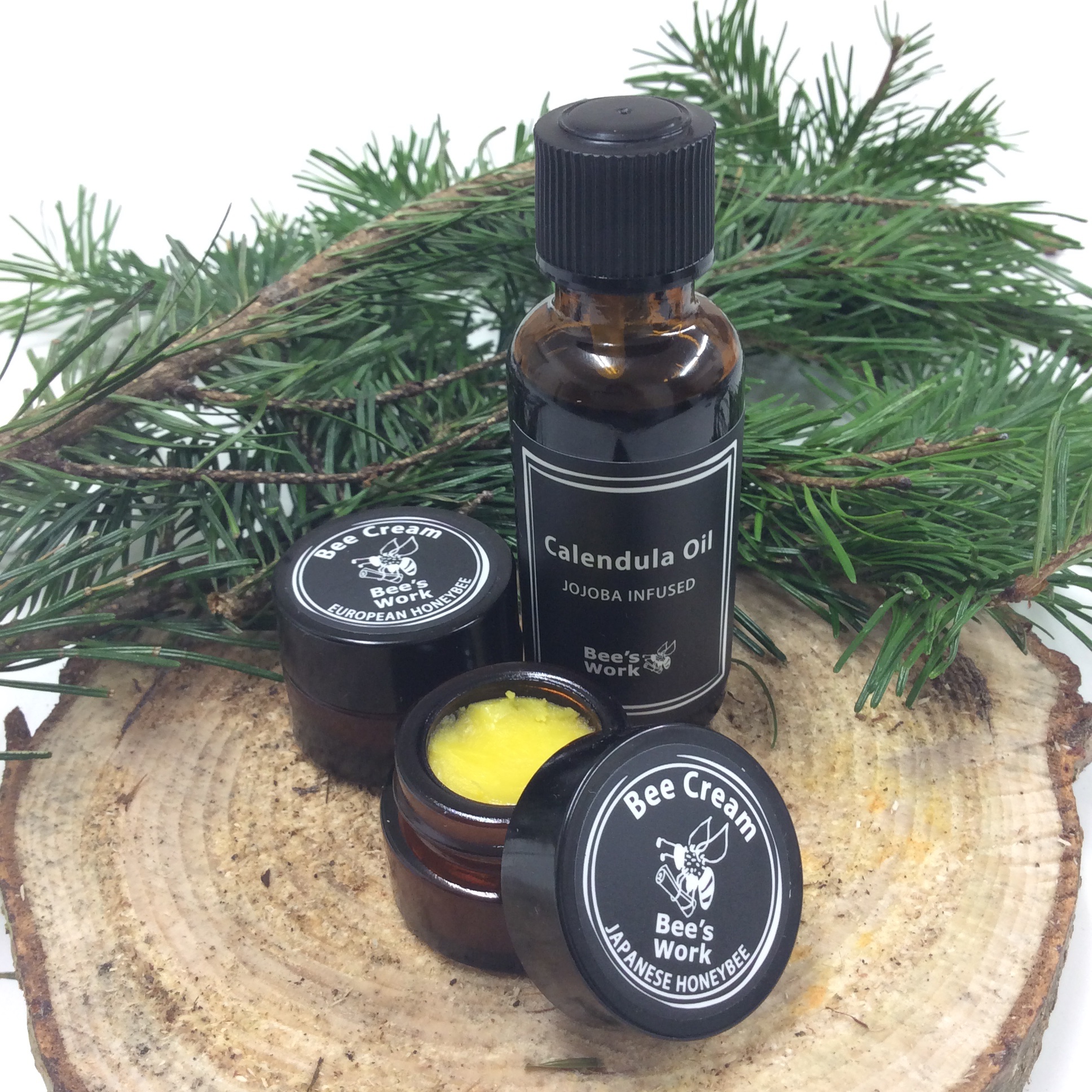 小林彩子 Flavour 去年 北海道の下川町で伐倒 間伐 させてもらったトドマツは スライスをいただいてきました 樹齢30年ぐらいのトドマツスライスは写真のように 事務所で商品展示用の什器として活用しています 講座の時には これがトドマツです