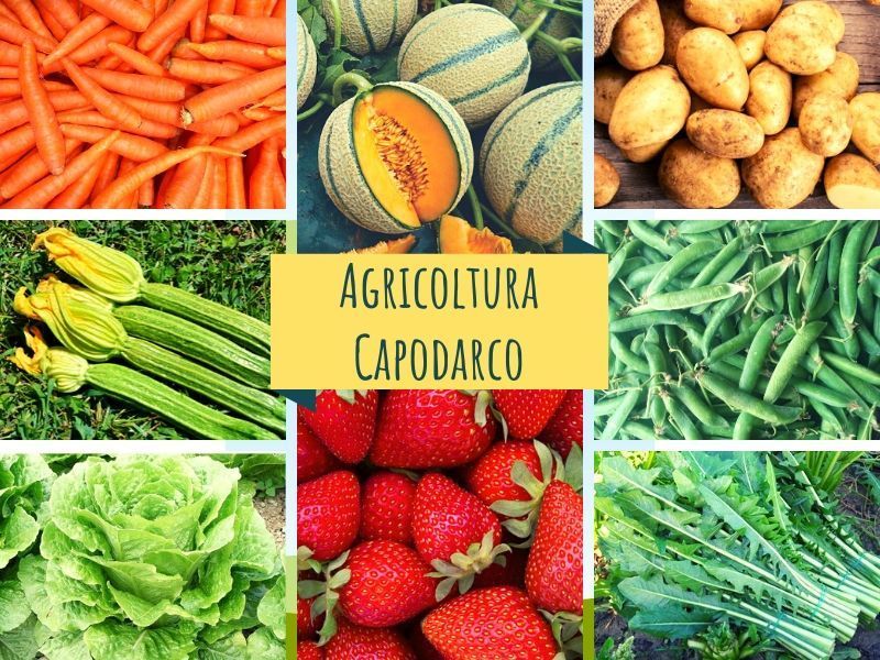 #Frutta e #verdura #biologica, #vino e #olio extra vergine biologico!

Venite a scoprire i prodotti che gli amici dell' Agricoltura Capodarco Cooperativa Sociale propongono questa settimana su <a href="/Kalulu_it/">Kalulu</a>. 

➡️➡️➡️ VI aspettiamo: buff.ly/3egjxH8 ⤵️⤵️⤵️