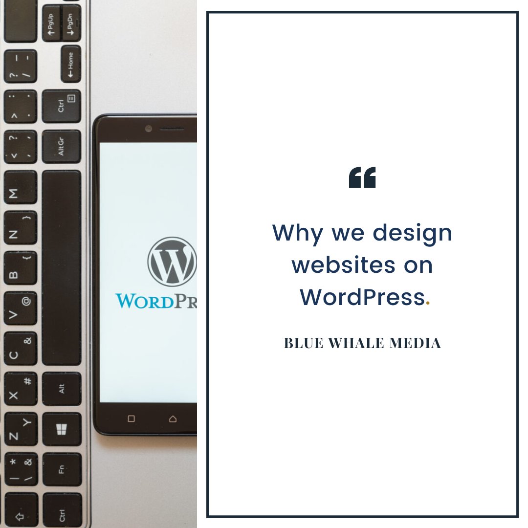 BlueWhaleMediaL's tweet photo. As a digital agency, we design our websites using WordPress. Want to know why👀Read our latest blog - https://t.co/9nh3L2yxPy

#webdesignmanchester #digitalagency #wordpress https://t.co/eQZDDJpkFe