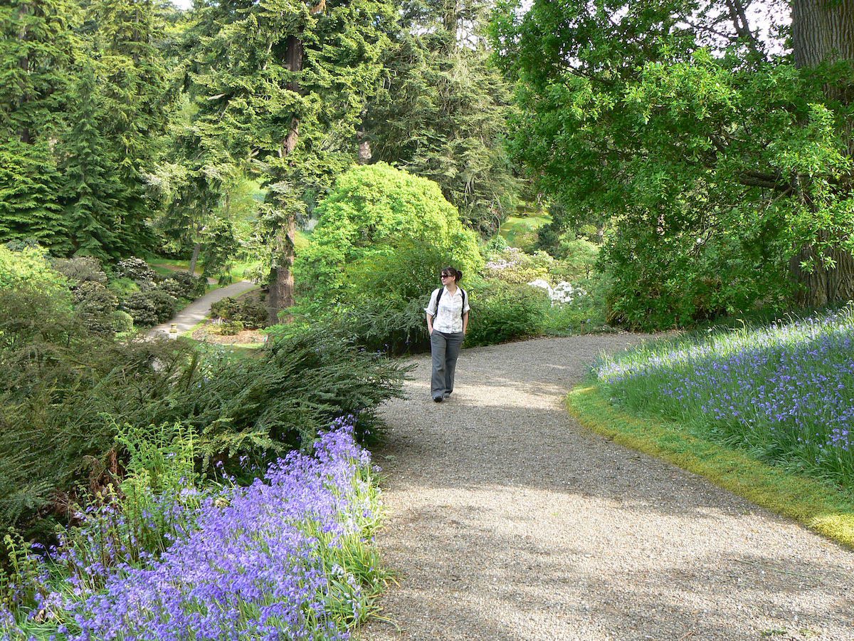 scottishgdns tweet picture