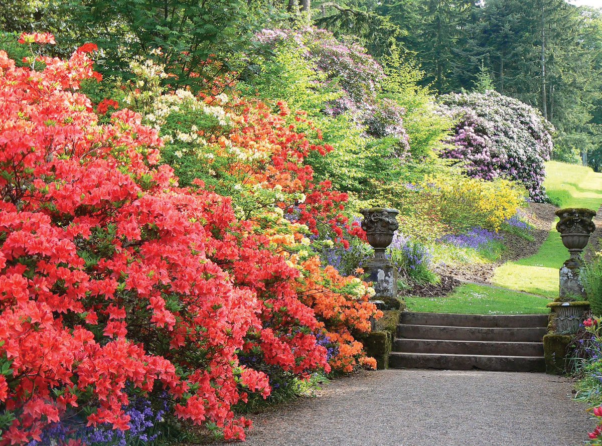 scottishgdns tweet picture