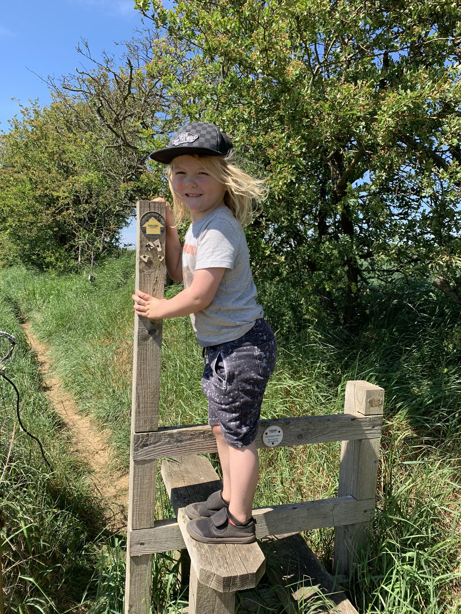 LouiseEales's tweet image. @HillWestPTFA yesterday George took us on an 8km walk in the sunshine #virtualfunrun