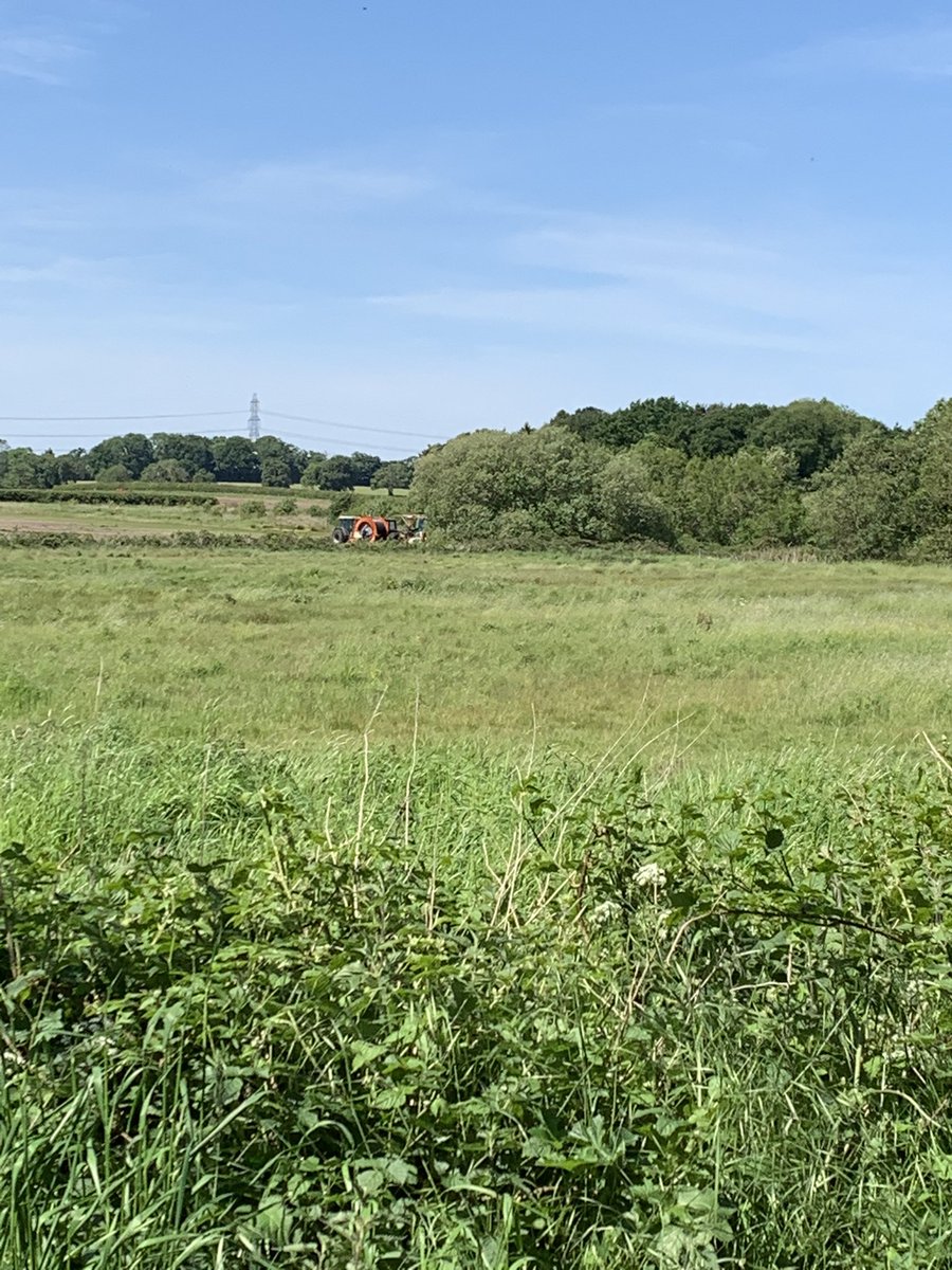 LouiseEales's tweet image. @HillWestPTFA yesterday George took us on an 8km walk in the sunshine #virtualfunrun