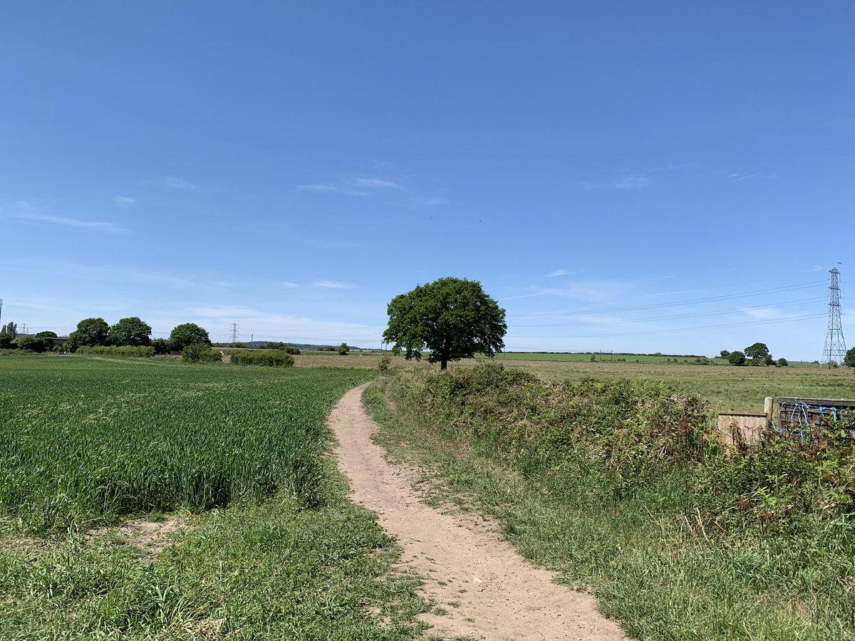 LouiseEales's tweet image. @HillWestPTFA yesterday George took us on an 8km walk in the sunshine #virtualfunrun