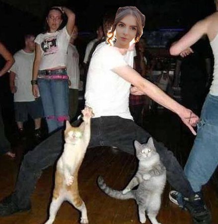 bendikjo's tweet photo. @Loeya Someday's we're all crazy catladies <3 https://t.co/c4LVSDiD1w