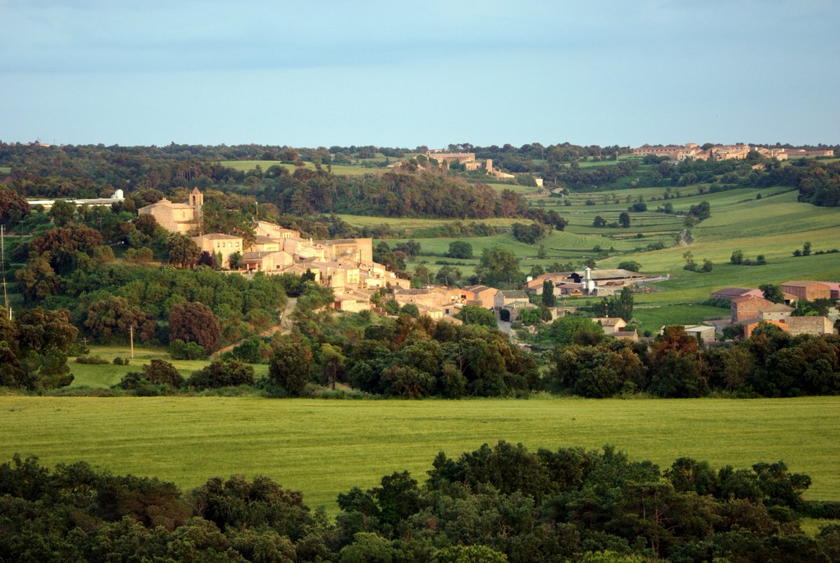 Turisme La Segarra tweet media