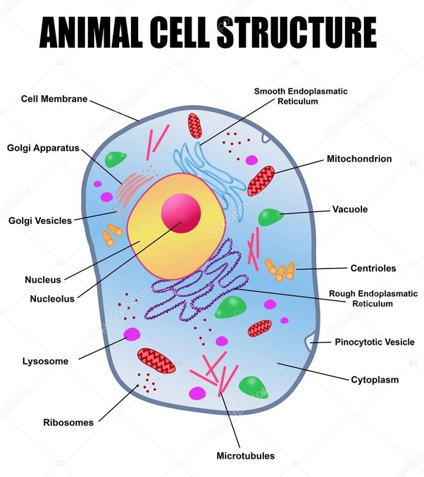 Biology form 4 kssm