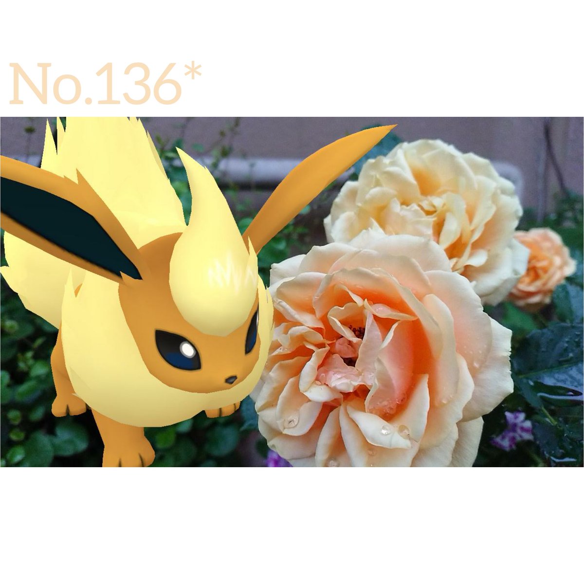 色違いブースター