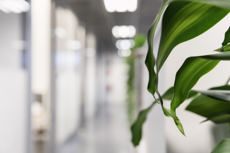 Mobidiag's tweet photo. Join our team! We are now looking for an enthusiastic APPLICATION SPECIALIST to join our Sales &amp; Marketing team.
See more information and apply now:  https://t.co/Rxu7sqJq9U

#joinourteam #hiring https://t.co/99DNjThQ2c