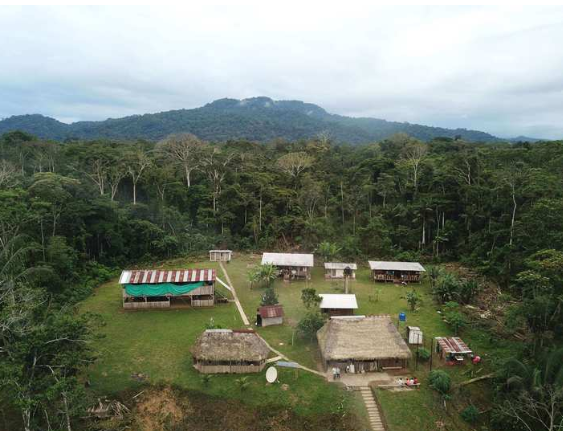 MMU_Research's tweet photo. Tropical forests face an uncertain future under climate change, but a new study suggests they can continue to store large amounts of carbon in a warmer world — but only if countries limit greenhouse gas emissions.

https://t.co/1pZq2kfRsQ https://t.co/DRDdk5mqDh