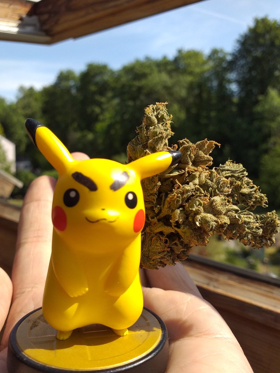 TrashConverter's tweet photo. La primavera ha transmutado la cola mi pikachu.
#AmiiboCustom https://t.co/v4Af6SaGXq