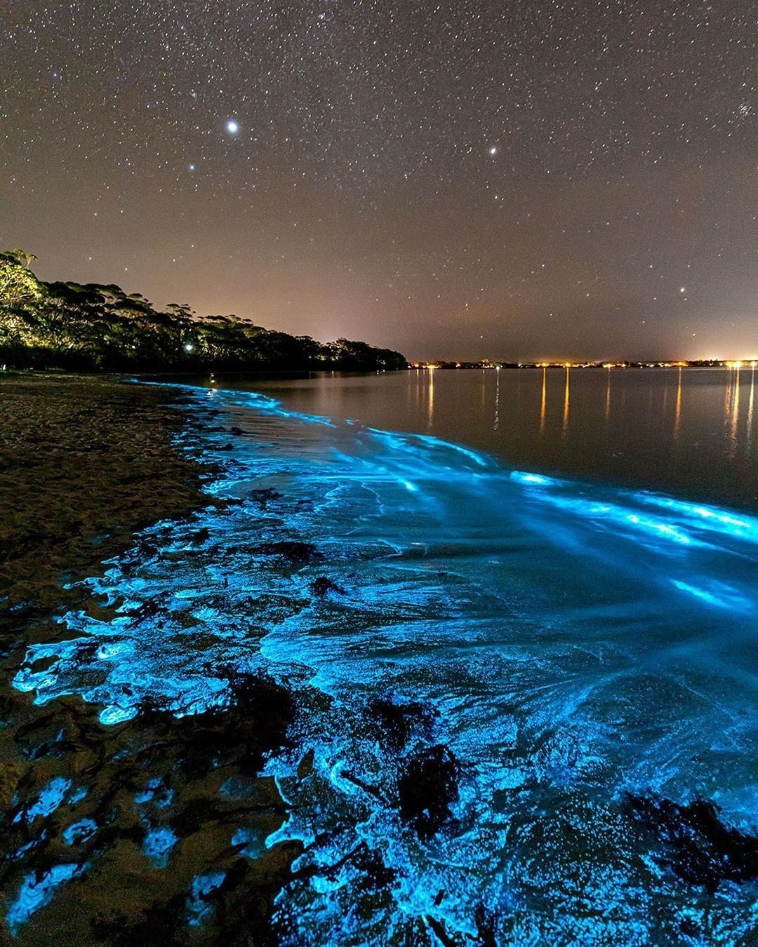 オーストラリア政府観光局 シドニー Sydney Sider から車で3時間のジャービス ベイが魔法できらめく姿に変身 プランクトンの化学反応で暗闇のビーチが鮮やかに青く光る 珍しい自然現象 Newsouthwales Photo Via Ig Jordan Robins Stayhome