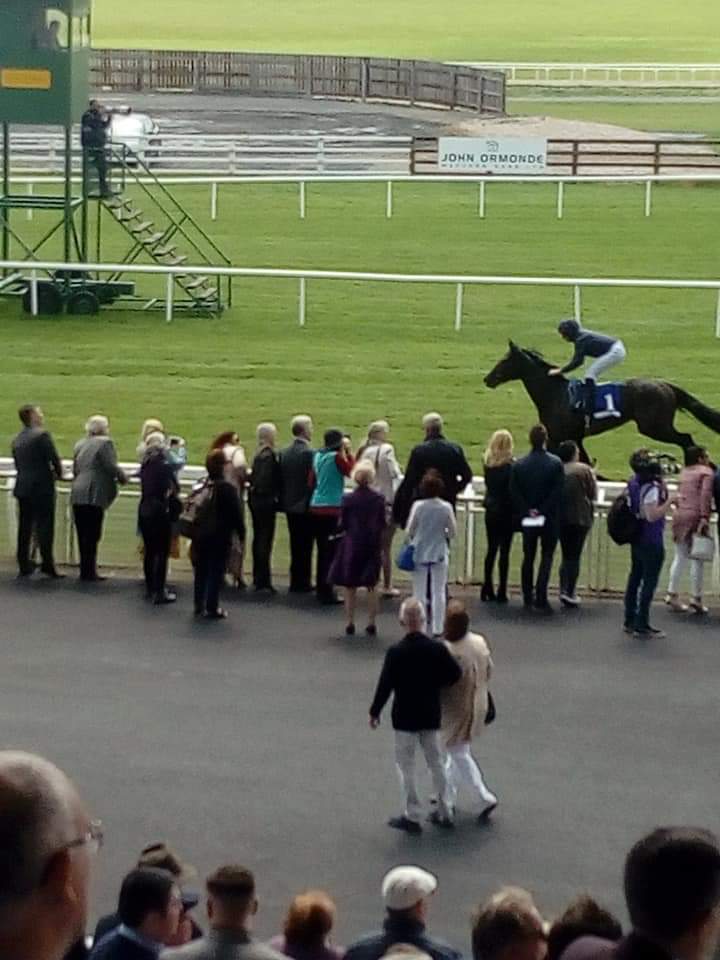 JoeSeward1's tweet photo. YEAR AGO TODAY 
@curraghrace
The current 8/1 2nd fav for 2,000 Guineas #ARIZONA won @HoStud @IrishEBF_ 2YO  Maiden in style.
Race marred by fatal  injury to #RedAssembly
@tonymullins84
#Arizona won Coventry @RoyalAscot next run 🎩didn't win again 3 subsequent starts
#HorseRacing https://t.co/DZJ5xtvoka