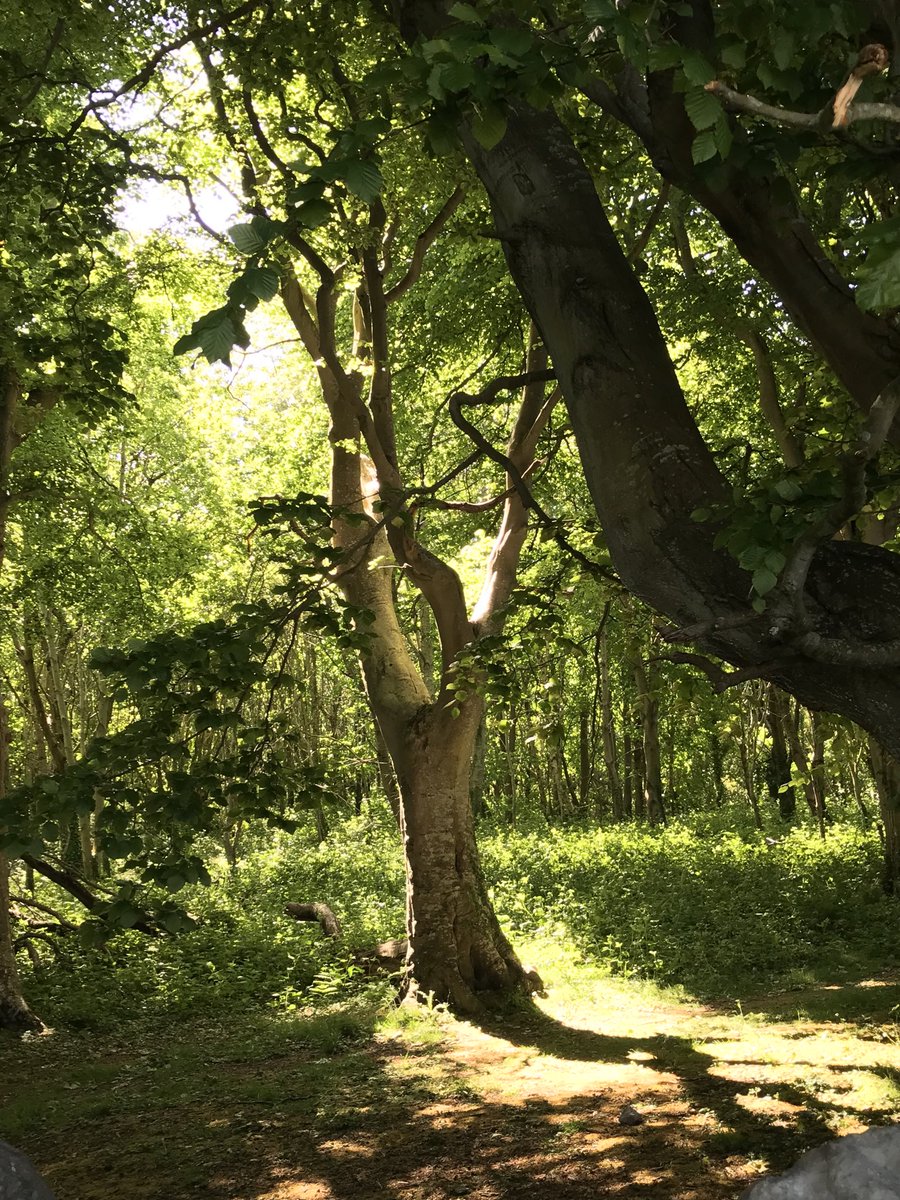 Paulbdmnorth's tweet photo. #dailyexercise here’s a nice one (pic) from yesterday’s walk https://t.co/ffV65AUuER