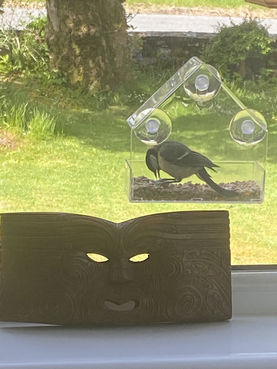 MillburnSkye's tweet photo. Quiet morning just watching the Tooing and frooing of the garden residents #millburnskye #bnb #bedandbreakfast #RSPB #theyellowduckcollection #Dunvegan #countrylife #birdwatching https://t.co/CXtvCKgkdV