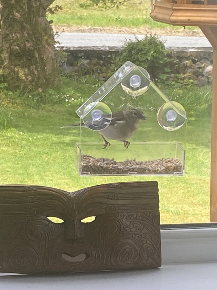 MillburnSkye's tweet photo. Quiet morning just watching the Tooing and frooing of the garden residents #millburnskye #bnb #bedandbreakfast #RSPB #theyellowduckcollection #Dunvegan #countrylife #birdwatching https://t.co/CXtvCKgkdV