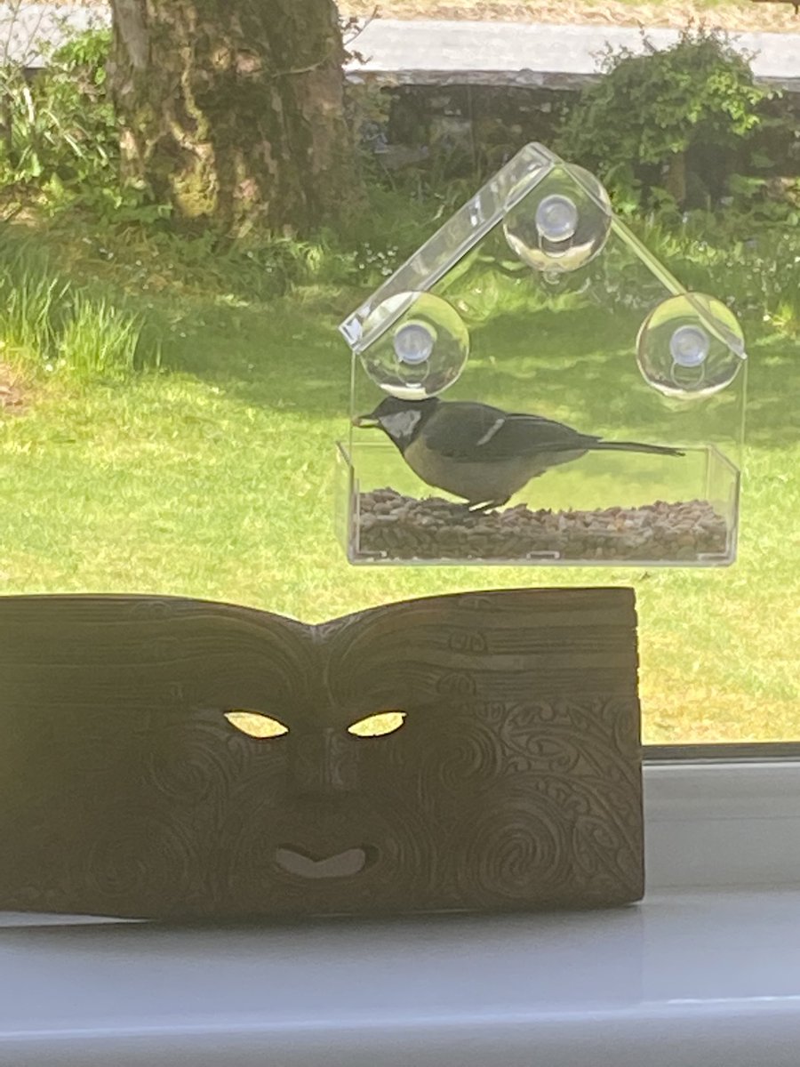 MillburnSkye's tweet photo. Quiet morning just watching the Tooing and frooing of the garden residents #millburnskye #bnb #bedandbreakfast #RSPB #theyellowduckcollection #Dunvegan #countrylife #birdwatching https://t.co/CXtvCKgkdV