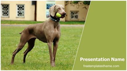 FTemplatesTheme's tweet photo. Free Playing Dog PowerPoint Template

https://t.co/0vUVkx7SEd

#dog #bullgod #ball #canine #friend #companion #fun #garden #whisker #freeppttemplates #freepresentations #freepowrepointthemes https://t.co/g3g9KkU86O