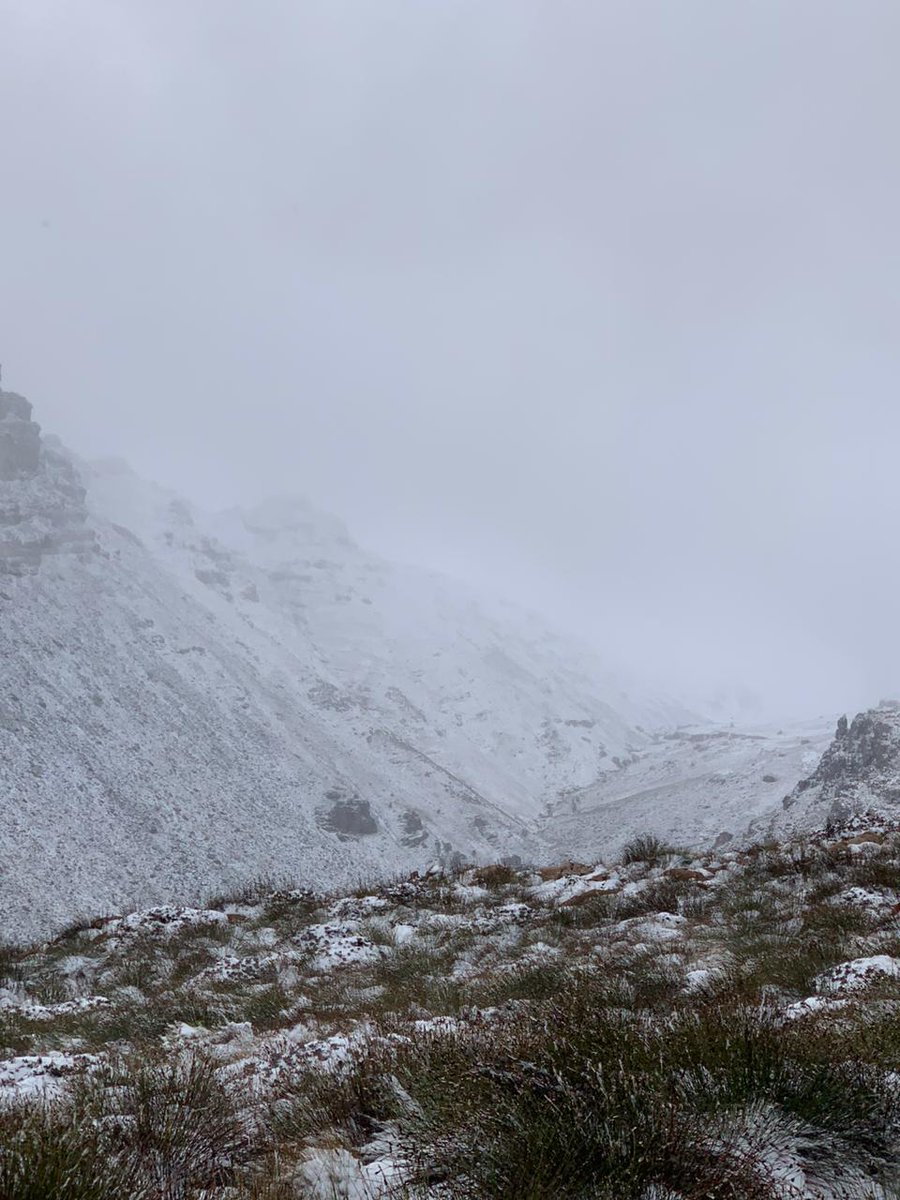 Merentia's tweet photo. Why @capetown is sooooo cold..... Snow this morning in the Matroosberg in Ceres.
Photos: Didi De Kock, the owner of the Matroosberg Reserve
#capeweather
#capestorm
#capesnow https://t.co/NKDPsHZMNA