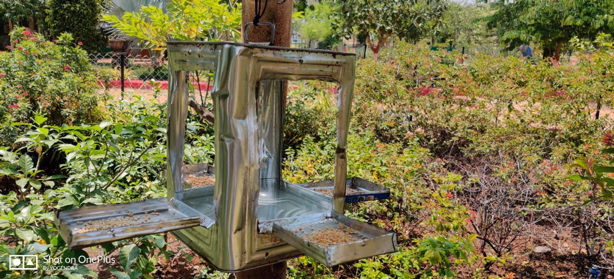 #WelcomeMove
#BirdsInNature

On The Advise of Honble Minister <a href="/KTRTRS/">#RAMpage</a> 
Forest Dept Installed New Indigenous Bird Cages @MayuriecoPark 
Mahaboobnagar by <a href="/dfombnr/">District Forest Officer</a> 

Providing Water &amp; Food At a Time in Hot Summer.

<a href="/TelanganaCMO/">Telangana CMO</a> 
<a href="/IKReddyAllola/">Indrakaran Reddy</a> 
@MPsantoshtrs 
<a href="/moefcc/">MoEF&CC</a> 
<a href="/pargaien/">Mohan Pargaien IFS🇮🇳</a>